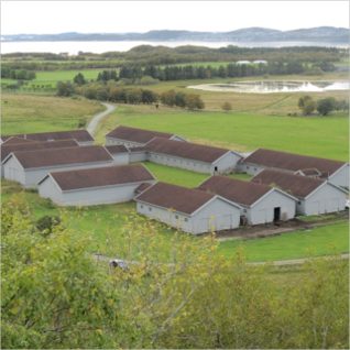 Tjøtta research farm – Digifarm Norway