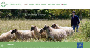 Life Green Sheep